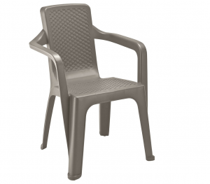 SILLA ETERNA CON BRAZOS WENGUE_1