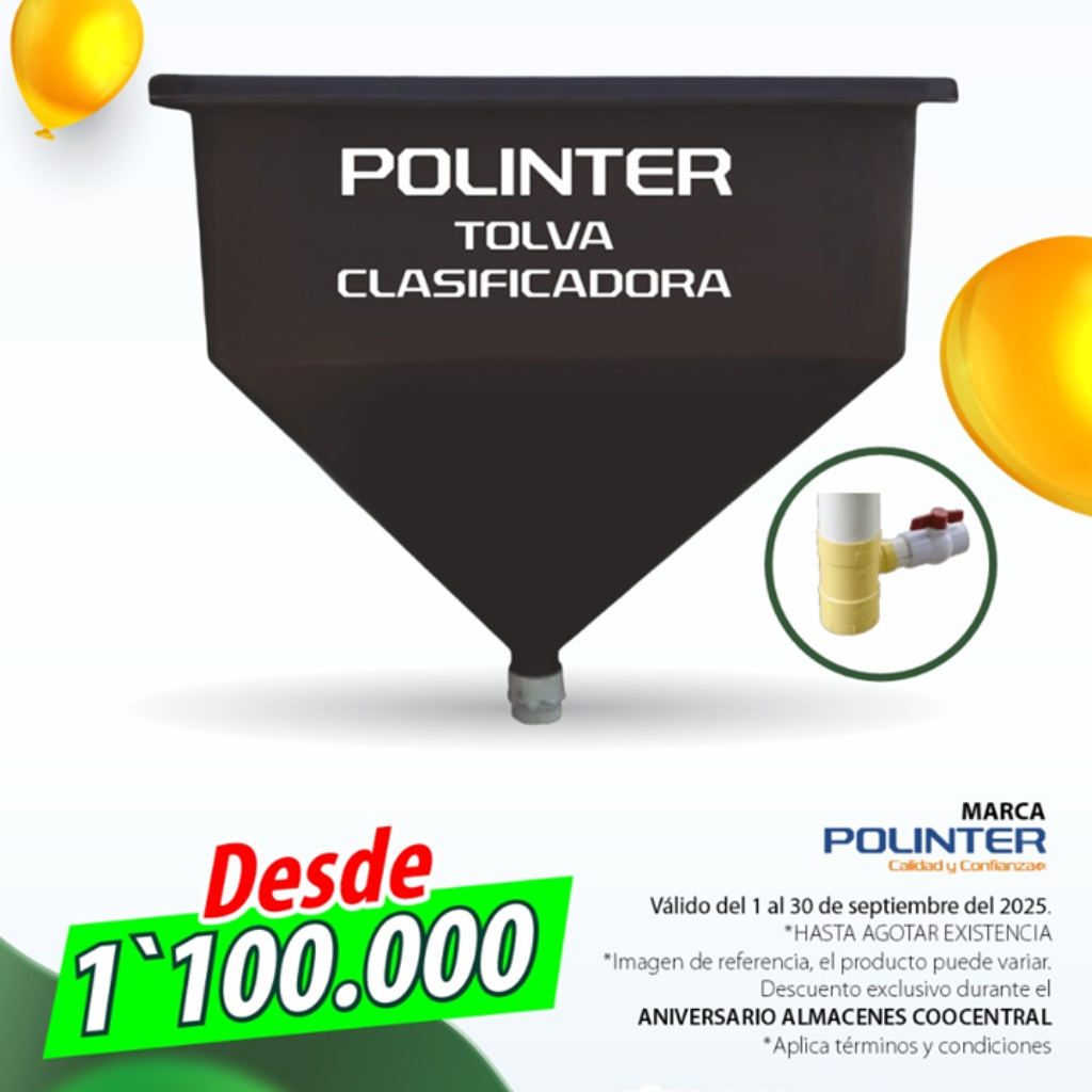 TOLVAS_1